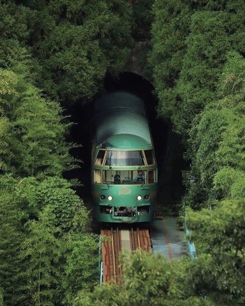 Ойта, Япония лес поезд