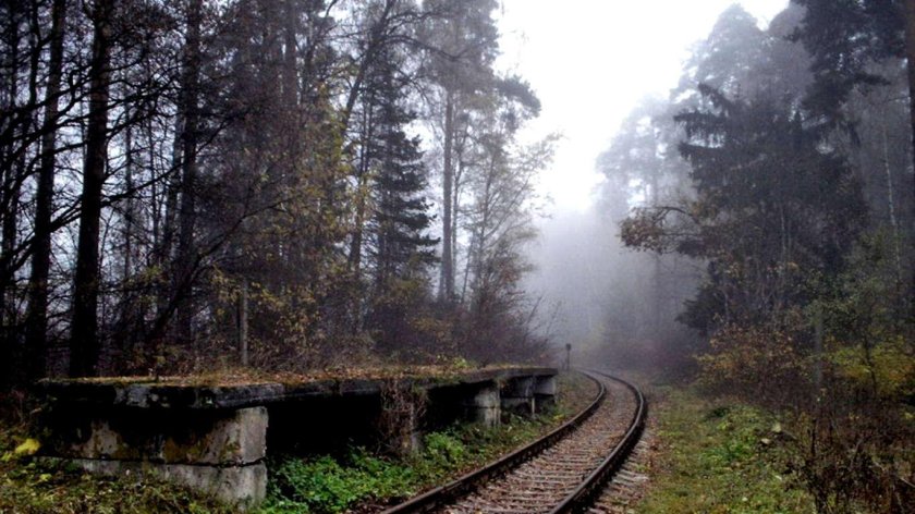 Заброшенные станции ДЖД Лесная