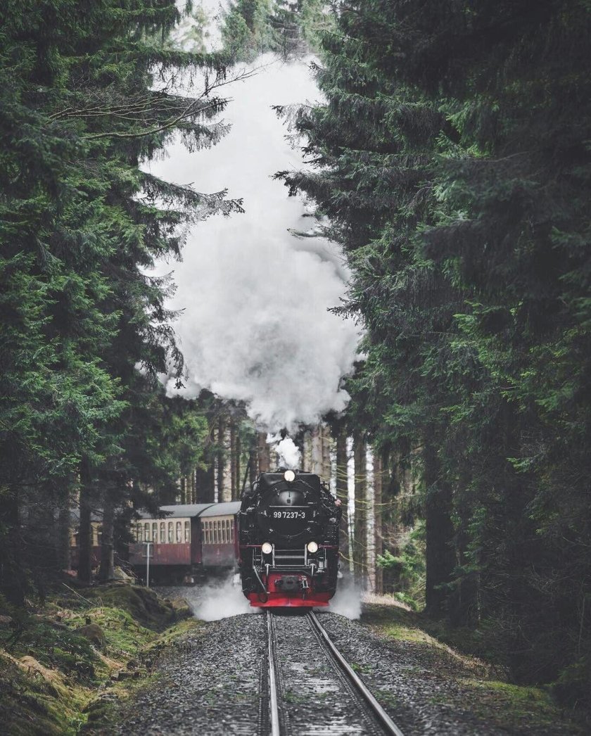 Паровоз рускеальский экспресс