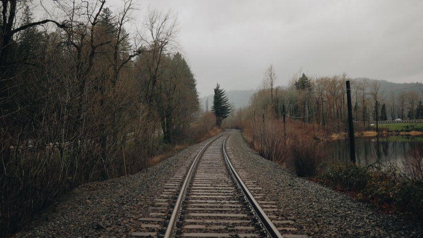 Светлогорский лес Старая железная дорога