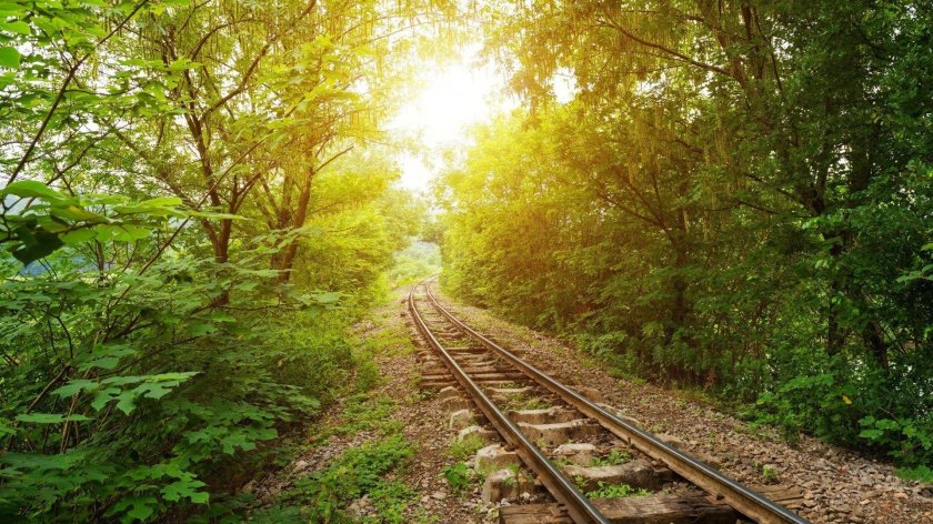 Железная дорога в лесу