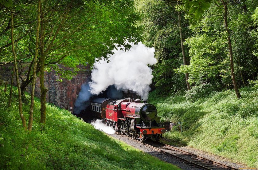 Паровоз в лесу