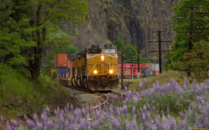 КБЖД паровоз