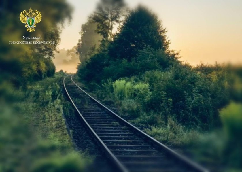 Одноколейка железная дорога