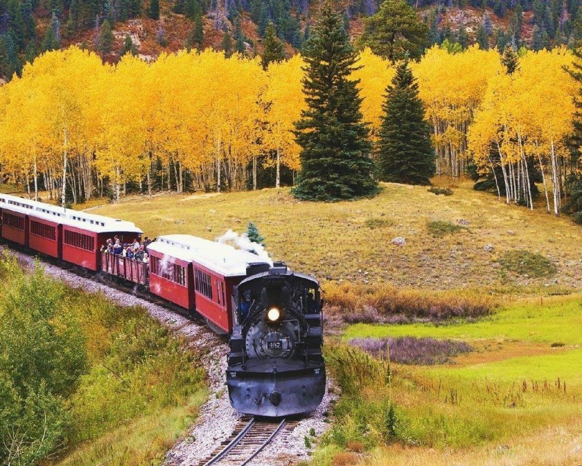 КБЖД паровоз