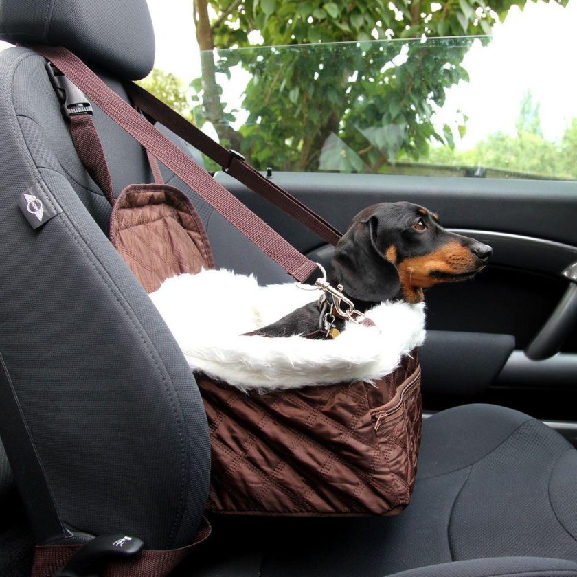 Автокресло для собак