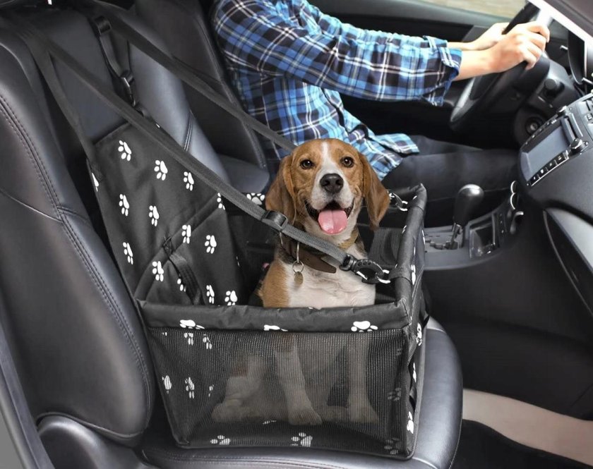 Автомобильное кресло для собак