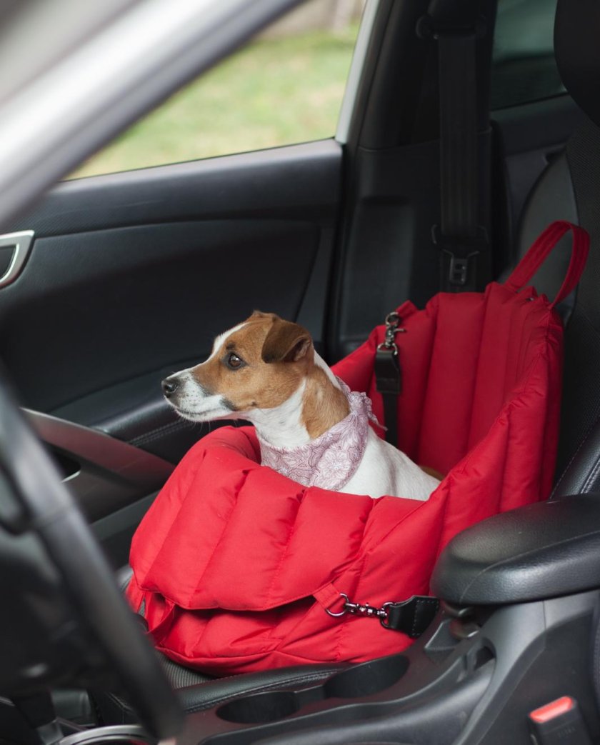 Автомобильное кресло для собак