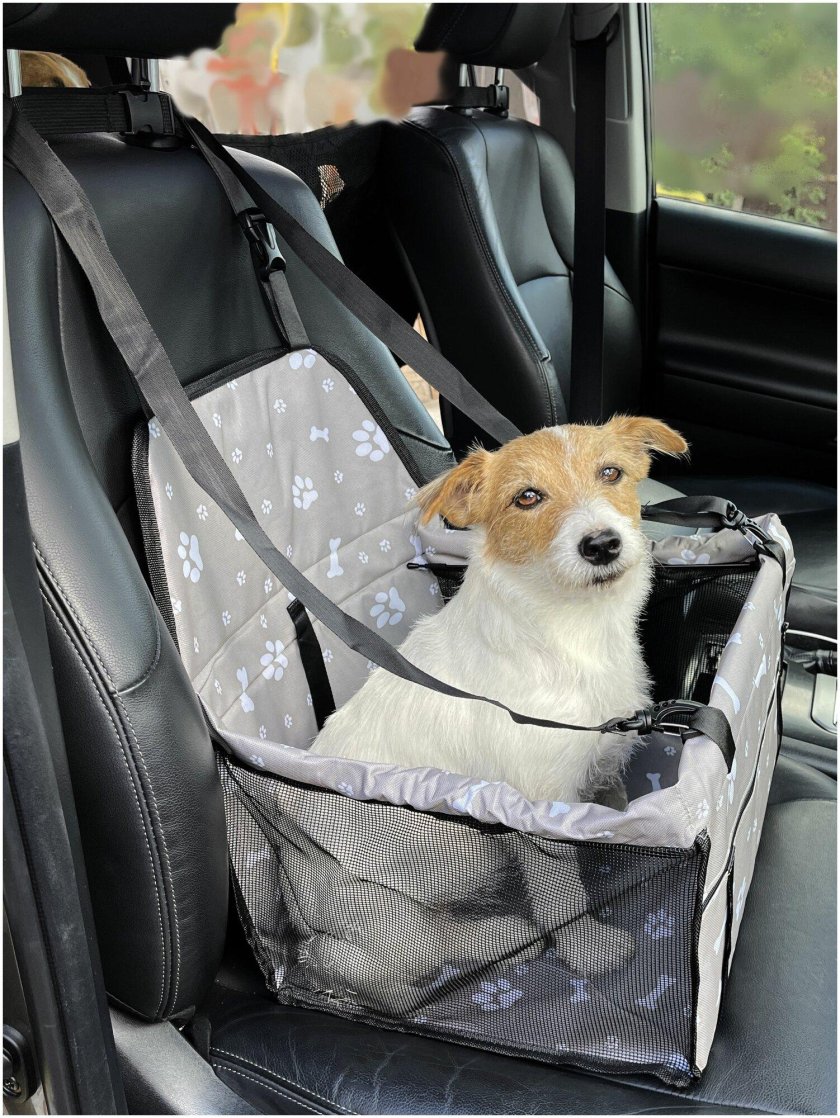 Автокресло для собак мелких пород