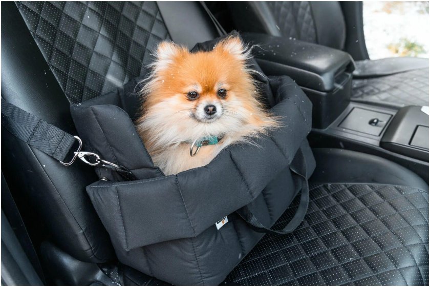 Автокресло для собак мелких пород