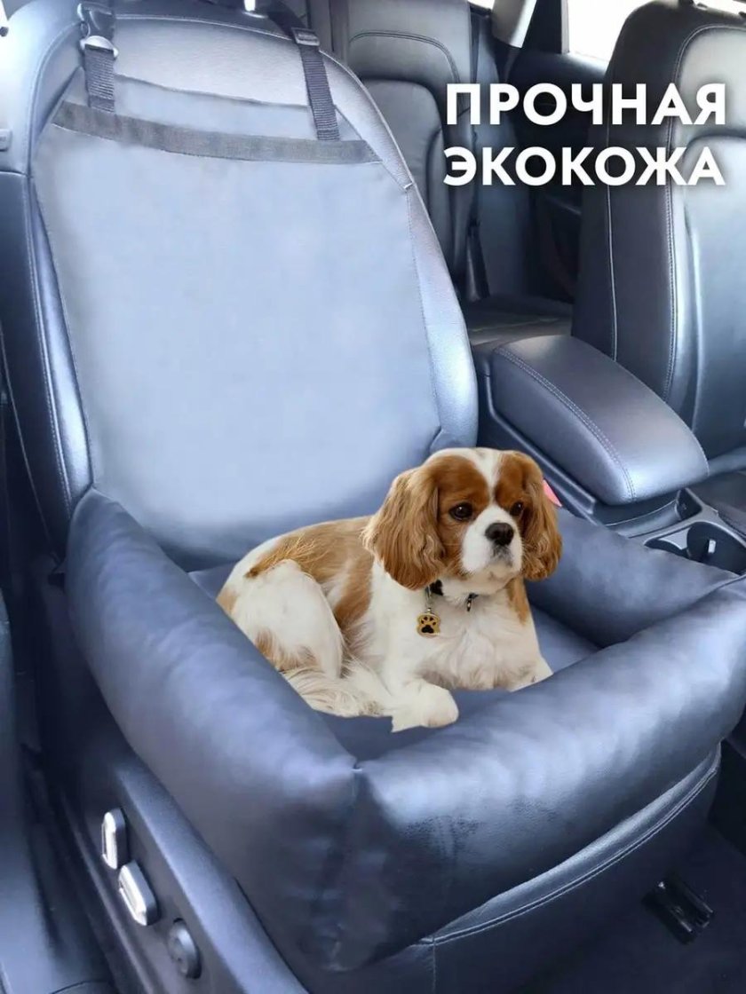 Автокресло для собак