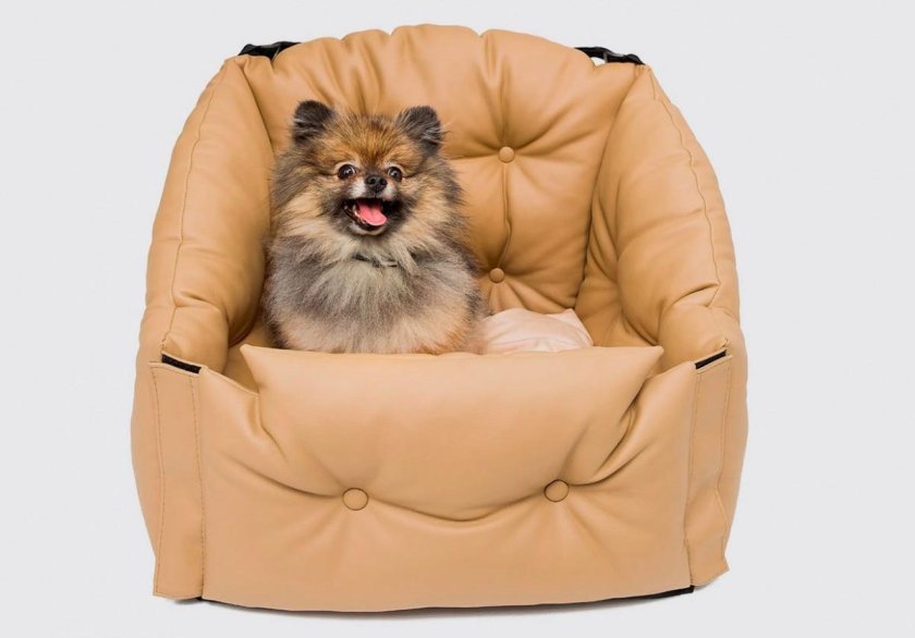 Автокресло для собак бежевое Dog Smith