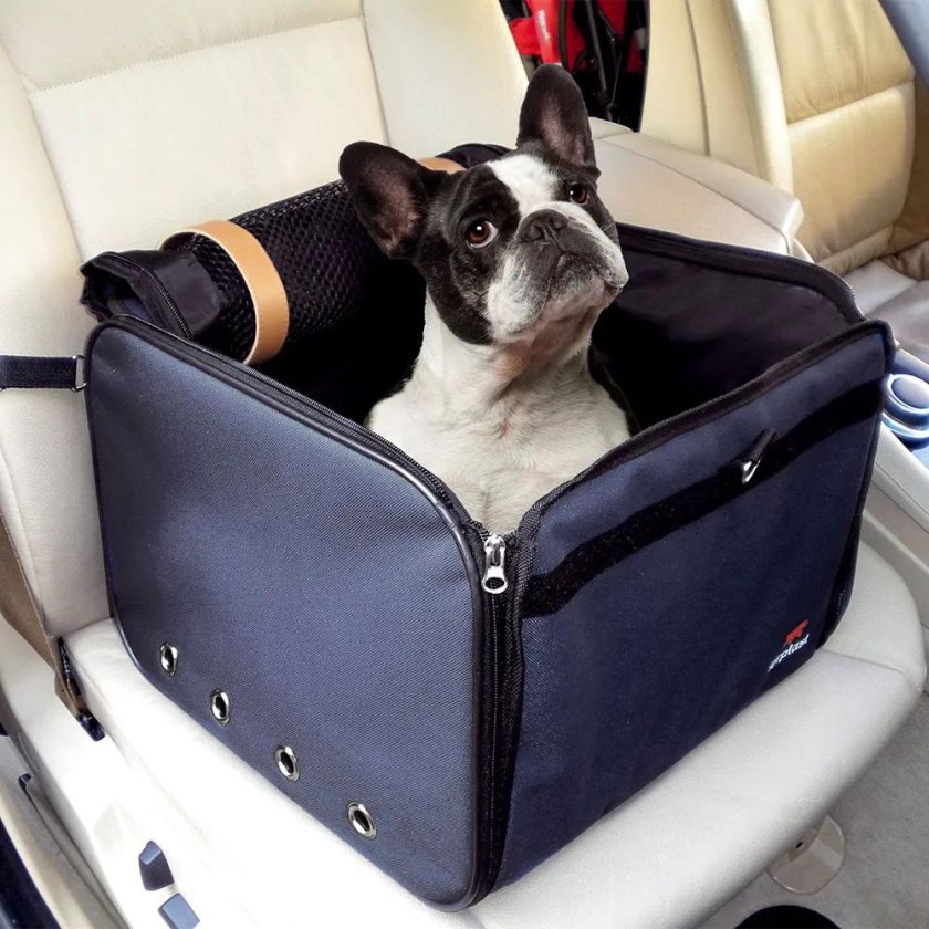 Переноски для собак