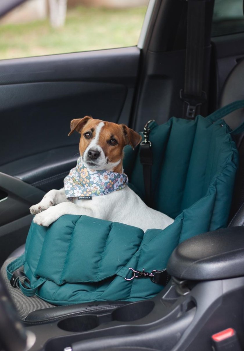 Автокресло для собак