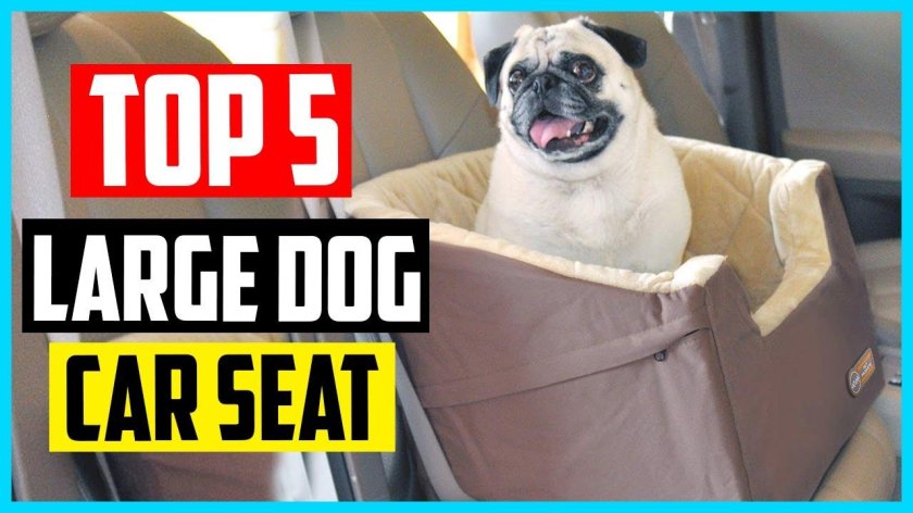 Автокресло для собак