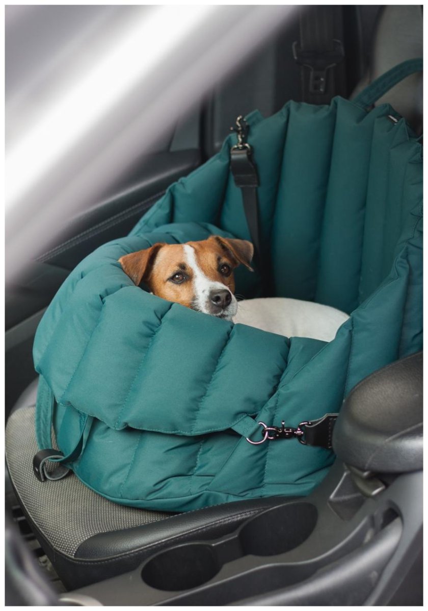 Автокресло для собак