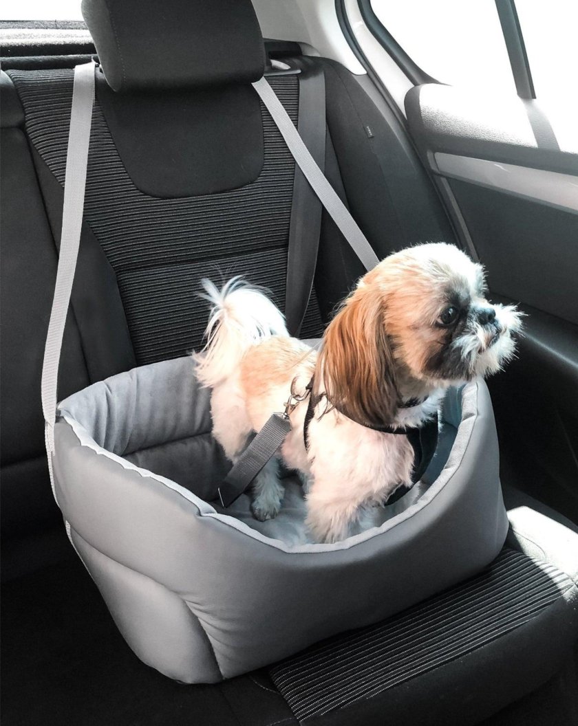 Кресло для собаки в машину