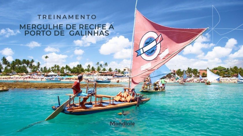 Жангада плот