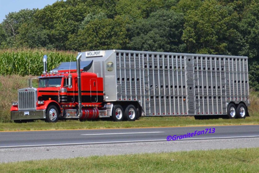 Peterbilt 379
