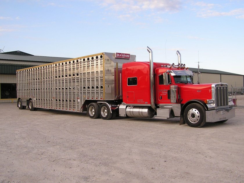 Peterbilt 389 Custom скотовоз