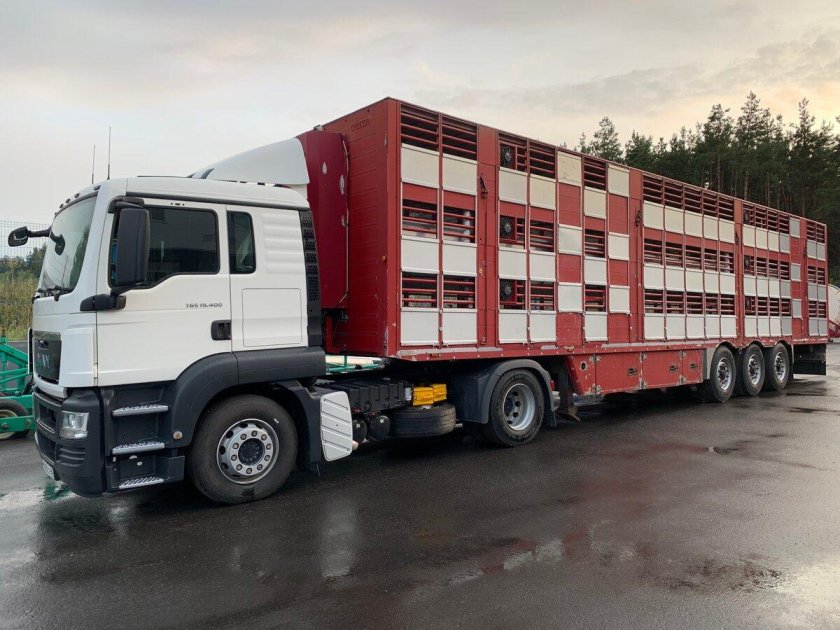 Полуприцеп-скотовоз АПС 552400