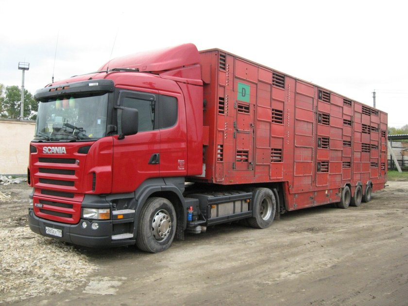 Скотовоз Вольво Мираторг