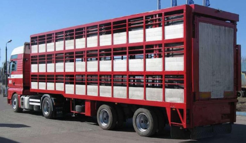 Скотовоз Pezzaioli sba63