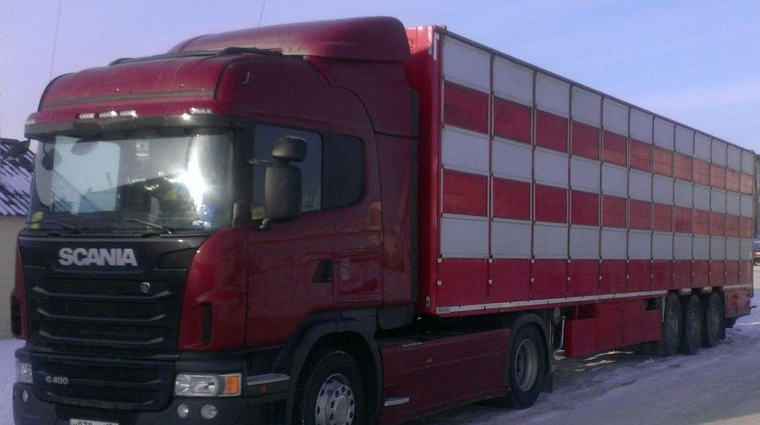 Ивеко скотовоз