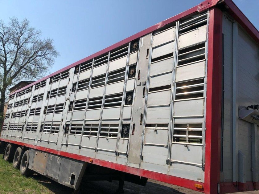 Pezzaioli скотовоз sba32