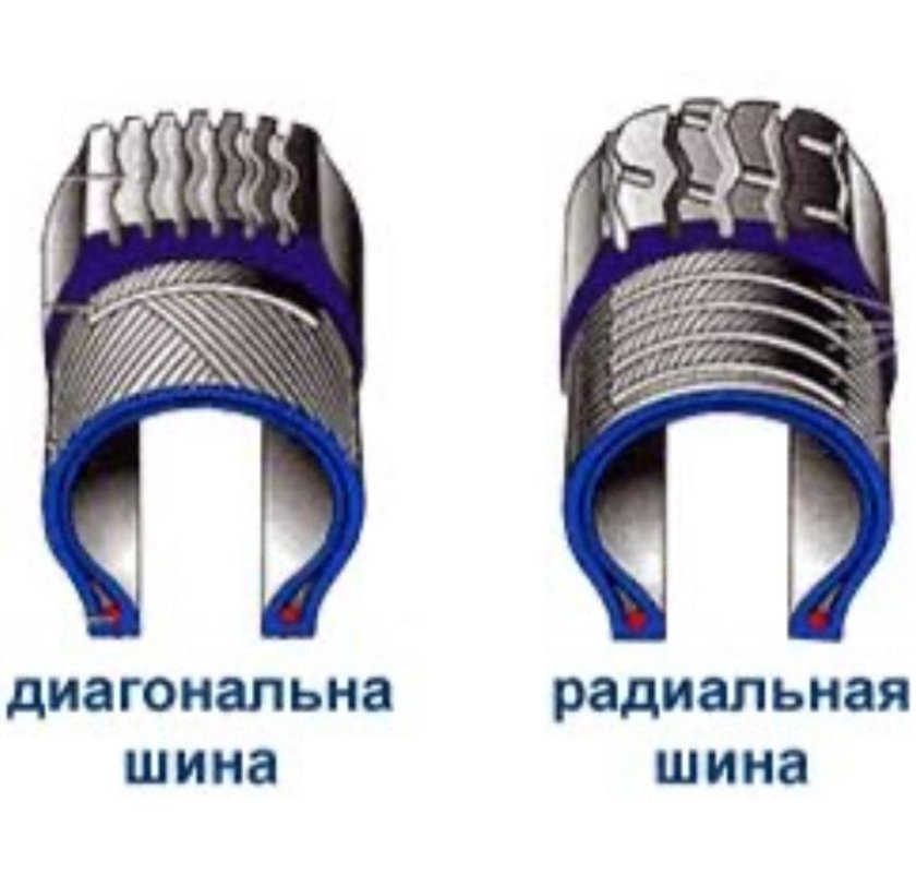 Радиальная и диагональная шина различия