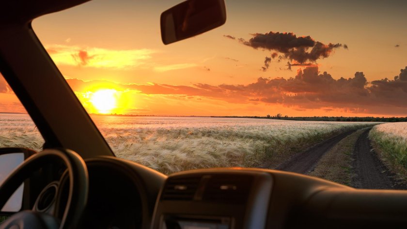 Вид из окна машины