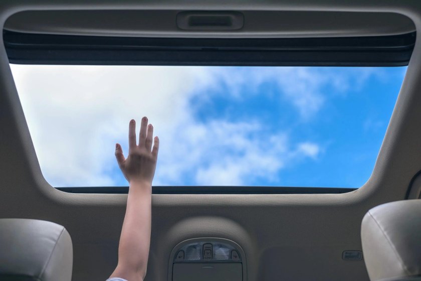 Руки из люка машины