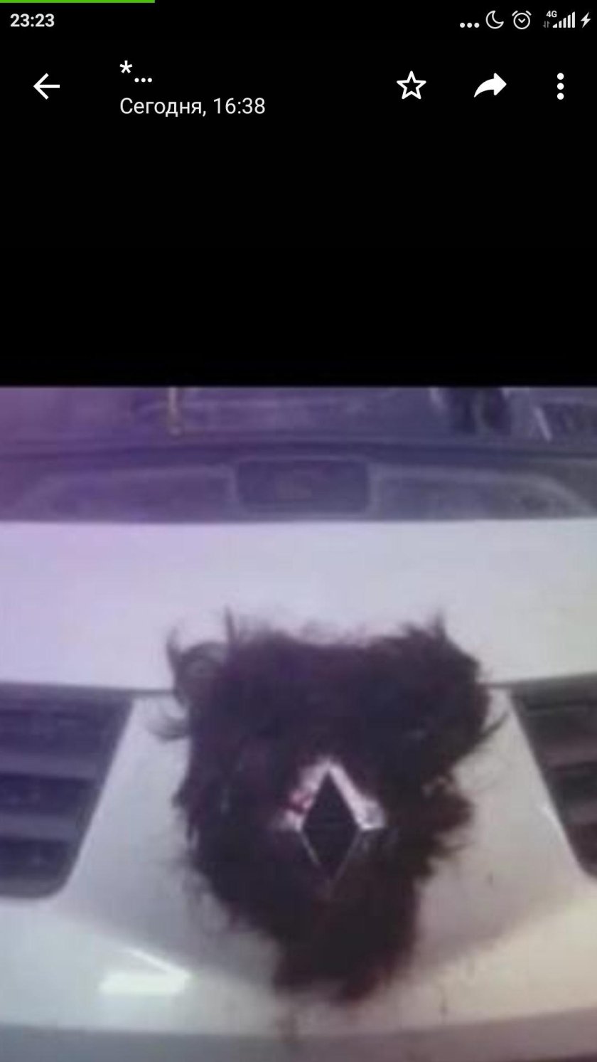 Знак рено с волосами