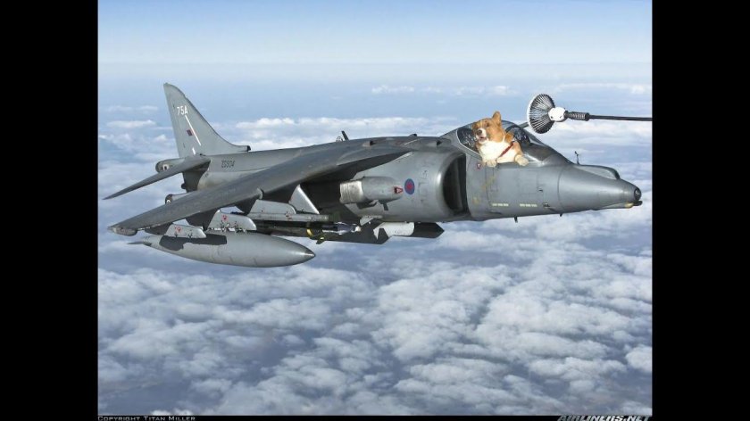 Харриер истребитель