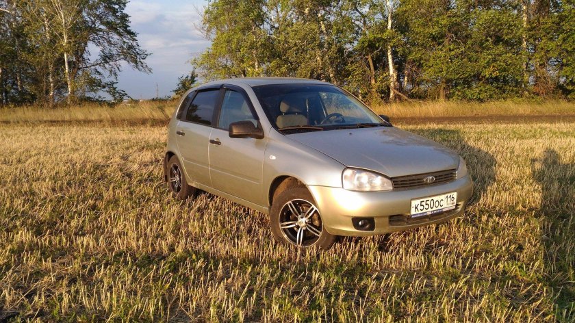 Калина 1 дыня