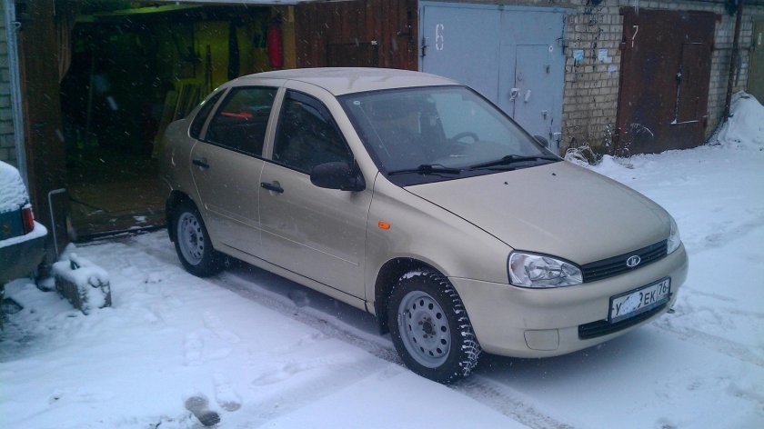 Калина цвет дыня