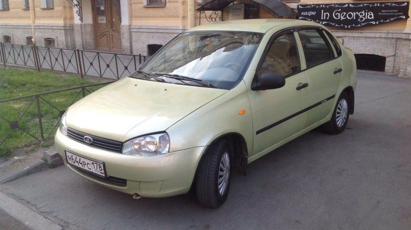 Калина дыня 502