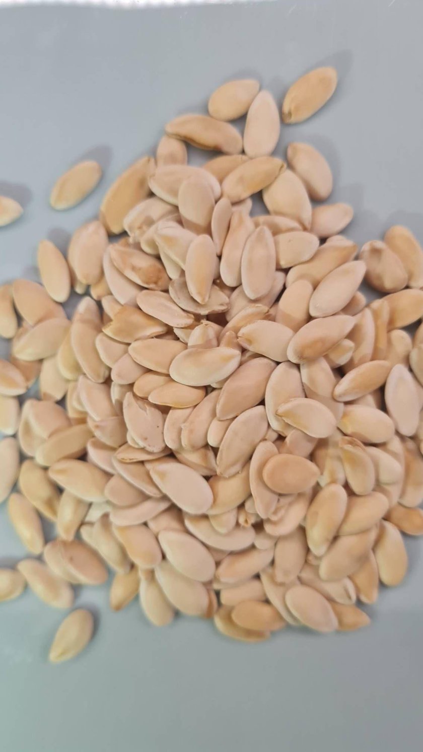 Семена. Дыня "Лада"