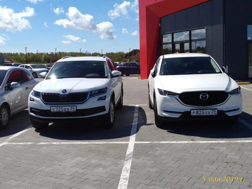 Вольво против Шкода