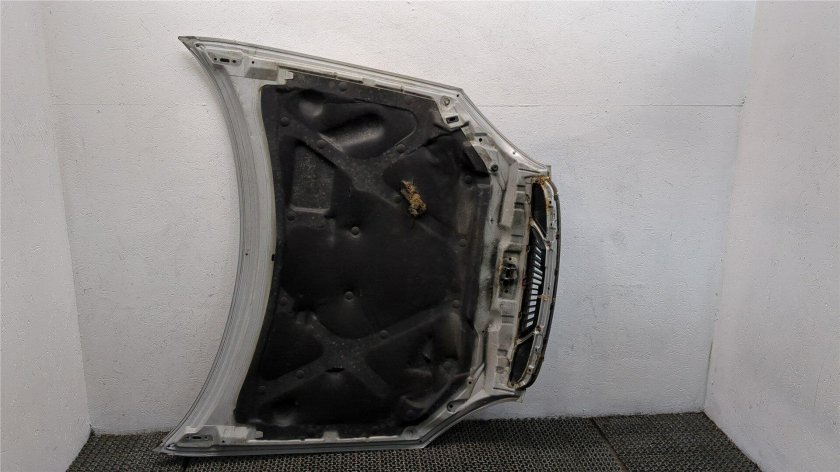 Капот Нубира