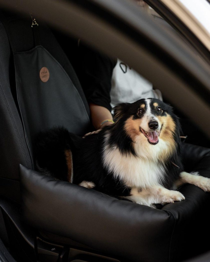 Рэйчел вау автогамак