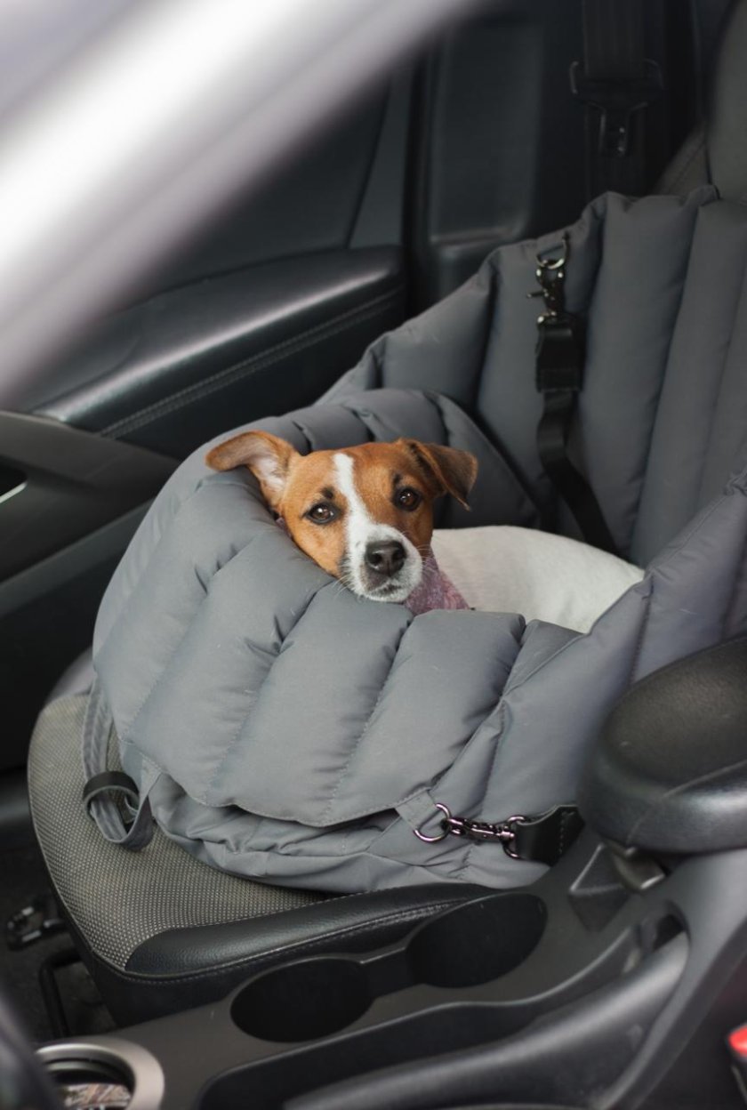 Автокресло для перевозки собак в машину