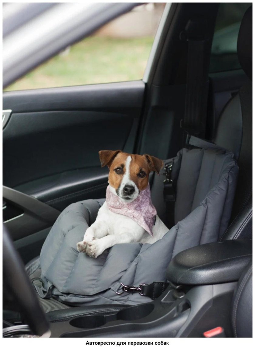 Собачье кресло для дома