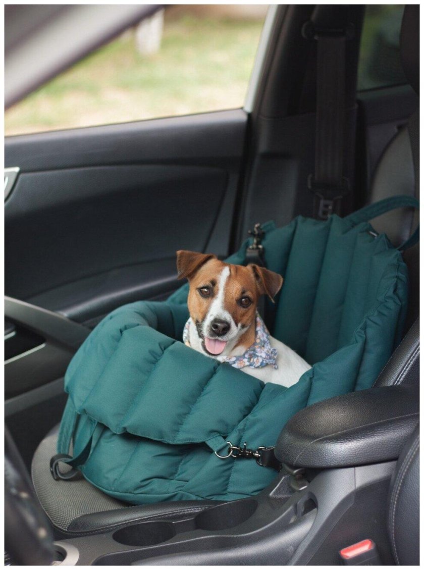 Автомобильное кресло для собак