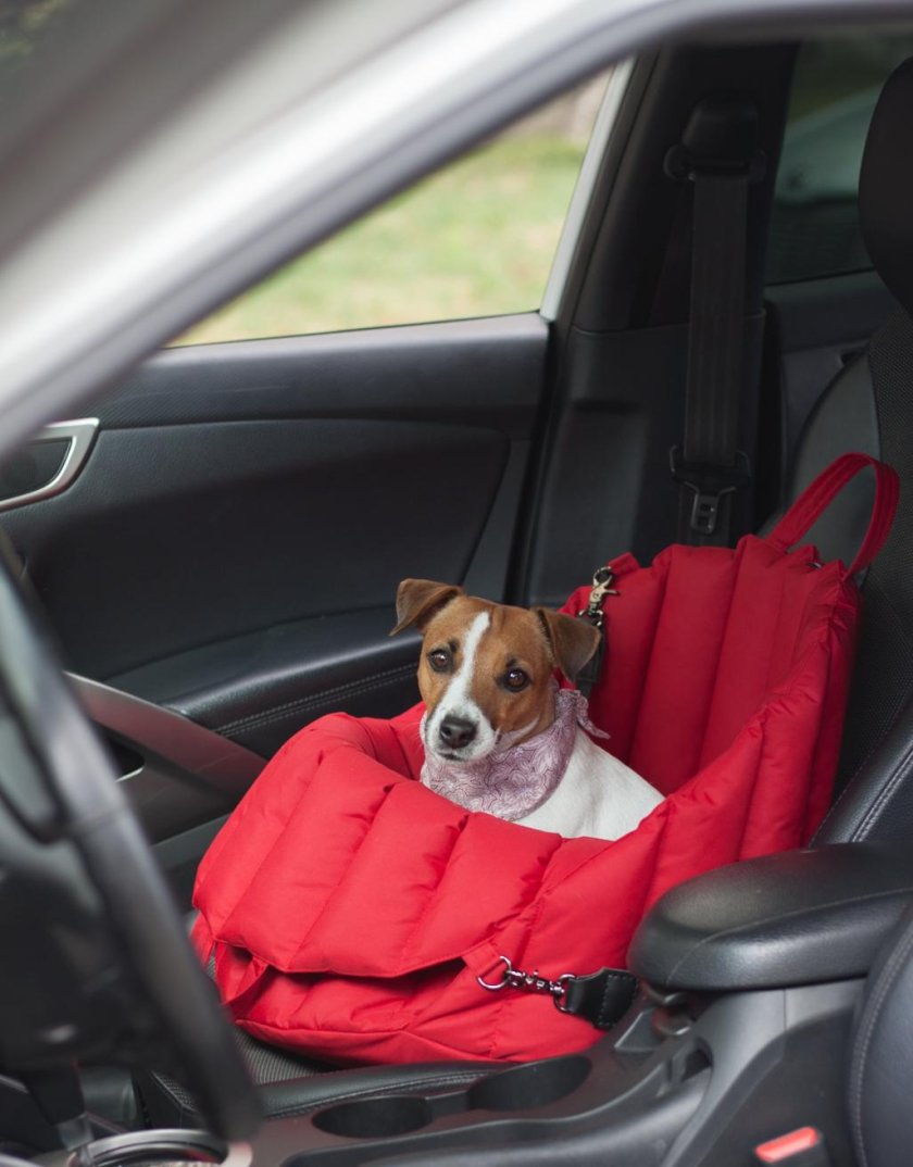 Автомобильное кресло для собак