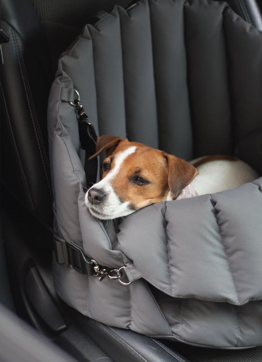 Автомобильное кресло для собак
