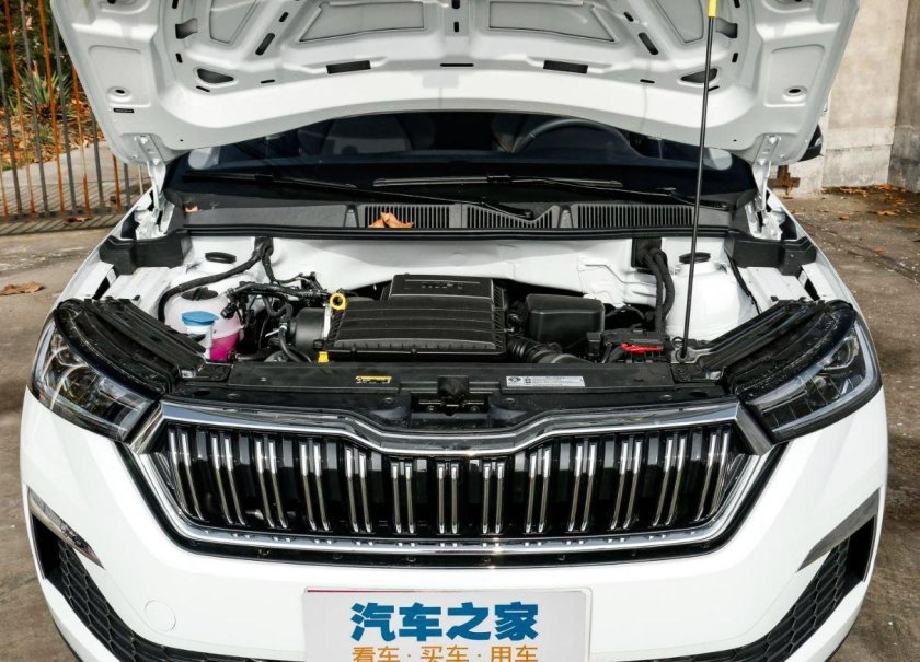 Шкода камик