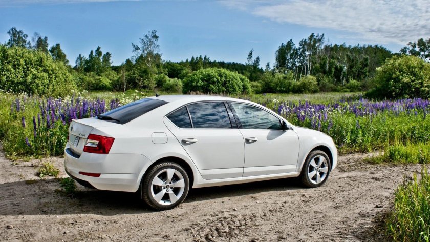 Шкода Октавия а7 лифтбек