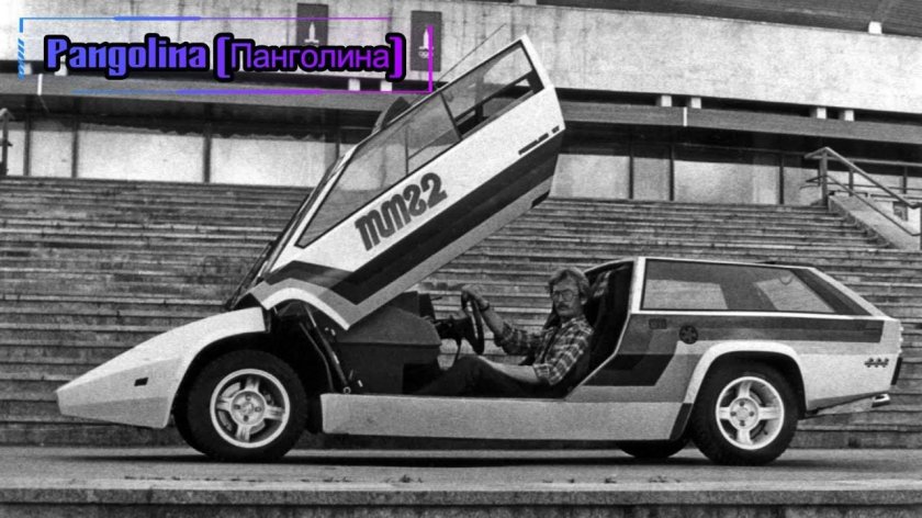 Александр Кулыгин Панголина