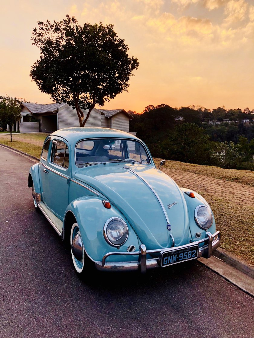 Фольксваген Жук